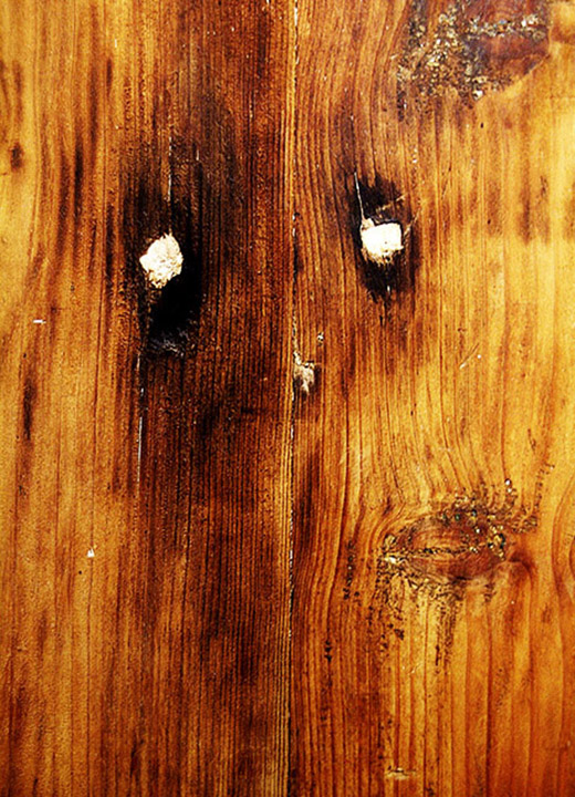 Faces_103 un fantasma a la porta de casa